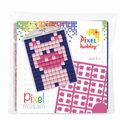 Pixel Schlüsselring Set Schwein