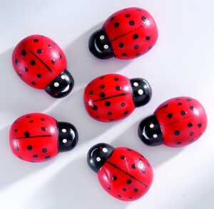 Holzstreut. Marienkäfer 6Stück groß ca.2,5x1,6cm