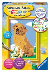 Malen nach Zahlen Bild Golden Retriever