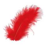 GLOREX Marabufedern rot ca.15 Stück