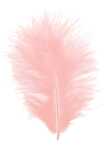 GLOREX Marabufedern ca.15 Stück Rosa