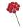 GLOREX Diorröschen 12 Blüten rot