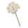 GLOREX Diorröschen 12 Blüten creme