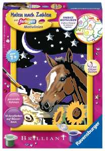 Malen nach Zahlen Bild 180x130mm Pferd