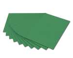 Fotokarton A4 moosgrün FOLIA 614/50 53 300g