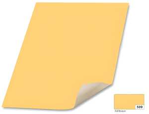 Plakatkarton 48x68 hellbraun FOLIA 65509 380g cham.