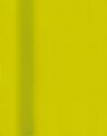 Tischtuchrolle 118cmx5m kiwi DUNI 185465 Dunicell