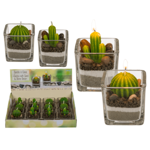 OOTB Kerze im Glas Kaktus mit Sand & Steindeko