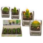 OOTB Kerze im Glas Kaktus mit Sand & Steindeko