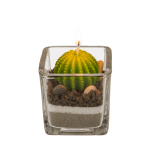 OOTB Kerze im Glas Kaktus mit Sand & Steindeko