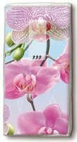 Motiv Taschentuch FSC-Mix 10 Stck.Bright orchid