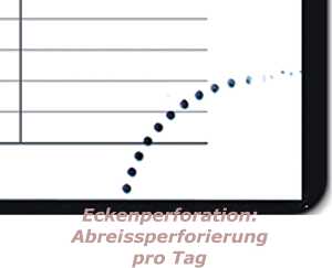 2027  GÜSS Praxis-Timer, DIN A4 , Einband Tucson burgund