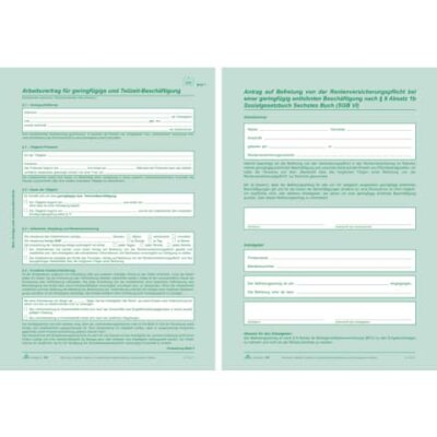 RNK Arbeitsvertrag geringfügig Beschäftigte - SD, 2x2 Blatt + Zusatzblatt, DIN A4