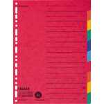 Kartonreg A4+ 10tlg farb. FALKEN