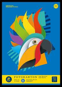 Staufen Fotokarton geleimt A3 10Bl 300g/qm