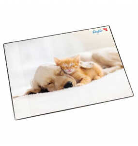 Motiv-Poster Schreibunterlage Hund und Katze, 40x53cm