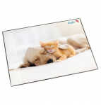 Motiv-Poster Schreibunterlage Hund und Katze, 40x53cm
