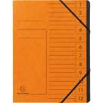 Exacompta EXACOMPTA Ordnungsmappe - 12 Fächer, A4,...