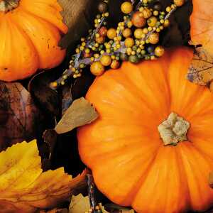 Motivserviette 33x33cm Herbst PAPER+DESIGN 193612