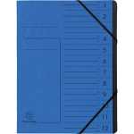 Exacompta EXACOMPTA Ordnungsmappe - 12 Fächer, A4,...