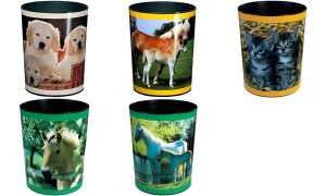 Motiv-Poster Papierkorb 13L Neugierige Kätzchen, 24,5x30cm