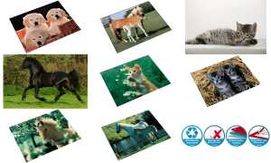 Motiv-Poster Schreibunterlage Pferd im Rapsfeld, 40x53cm