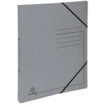 Exacompta Ringbuch DIN A4 Colorspankarton grau