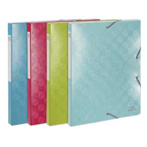 Exacompta 1928 Archivbox A4 25mm 4sort