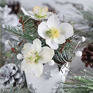 Weihn.Zelltuchserviette 33x33cm STEWO 2572 5841 75 3lag