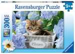 RAVENSBURGER Ravensburger Puzzle 300 Teile kleine Katze,...