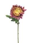 NOVA NATURE Chrysantheme fuchsia 38cm wasserfrisch Optik