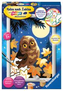 Malen nach Zahlen Bild Eule im Mondschein, mit farbigen Motivlinien