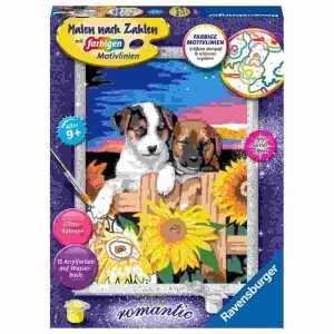 Malen nach Zahlen Bild Welpen im Sonnenuntergang, farbigen Motivlinien