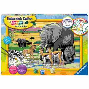Malen nach Zahlen Bild Tiere in Afrika, mit farbigen Motivlinien,