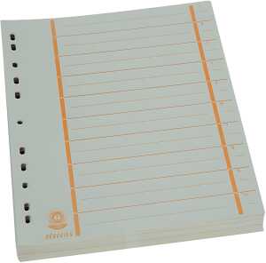 Büroring Trennblätter A4 orange chamois, farbiger Orgadruck