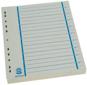 Büroring Trennblätter A4 blau chamois, farbiger Orgadruck
