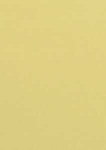 Clairefontaine CLAIRALFA PPP A4 80G 100BL CHAMOIS