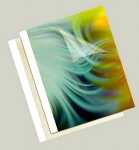 Thermobindemappe Coverlight 1,5mm weiss