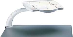 Telefonschwenkarm grau MAUL 83042 82