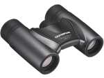 Olympus Slim 10x21 RC II Fernglas silber