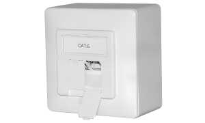 DIGITUS Aufputzdose Kat.6A (tief), 2 x RJ45, geschirmt (11003989)