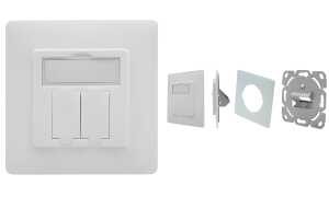 DIGITUS Leerdose für Keystone Modul e, 2-fach, reinweiß (11005791)