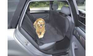 cartrend KFZ-Hundedecke, schwarz (1 1580181)