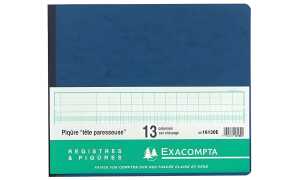 Exacompta EXACOMPTA Geschäftsbuch mit Kopflei ste, 24 Spalten