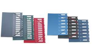 extendos Ordnungsmappe 437, DIN A4, 12 Taben,farbig sortiert (33547950