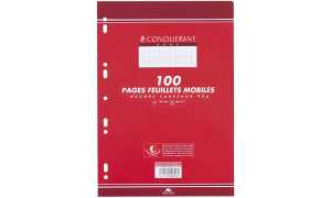 CONQUERANT SEPT Ringbucheinlagen, 2 10 x 297 mm (339206900)