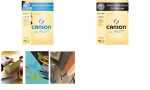 CANSON Zeichenpapier Mi-Teintes, DI N A3, Pastell Farben...