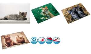 Motiv-Poster Schreibunterlage Katze grau, 40x53cm