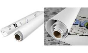 CANSON Zeichenpapier-Rolle The WAL L, 1 x 5 m, 220 g/qm (5297879)