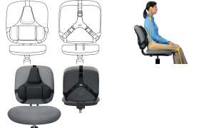 Fellowes Rückenstütze Profi Profess ional Series, schwarz (5337601)